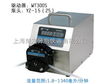 BT300SWT300S调速型蠕动泵