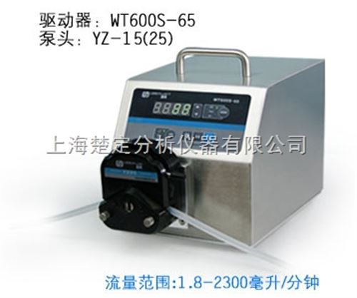 WT600S-65调速型蠕动泵